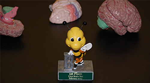 Brain Bee Award