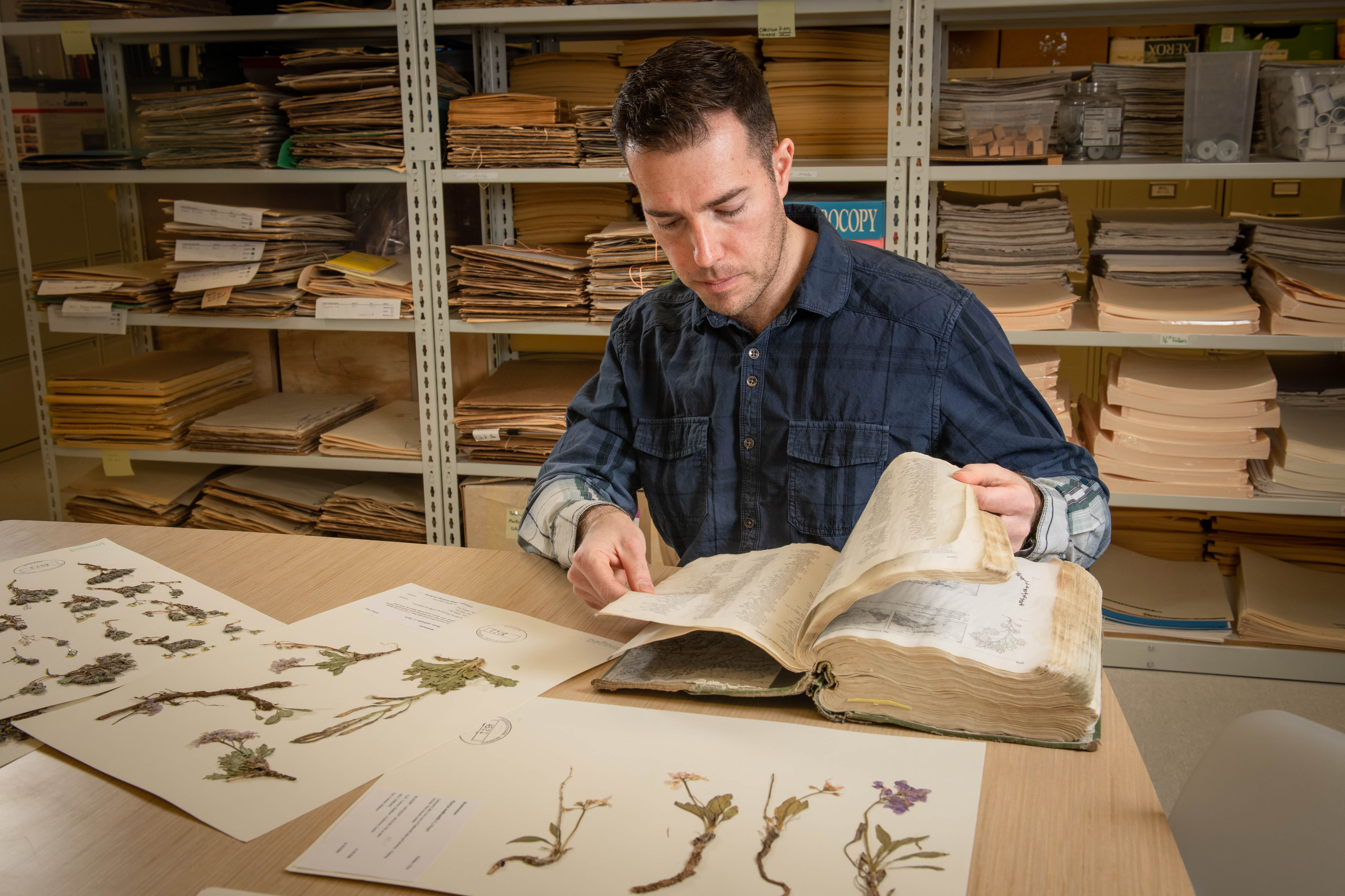 Photo in the Herbarium