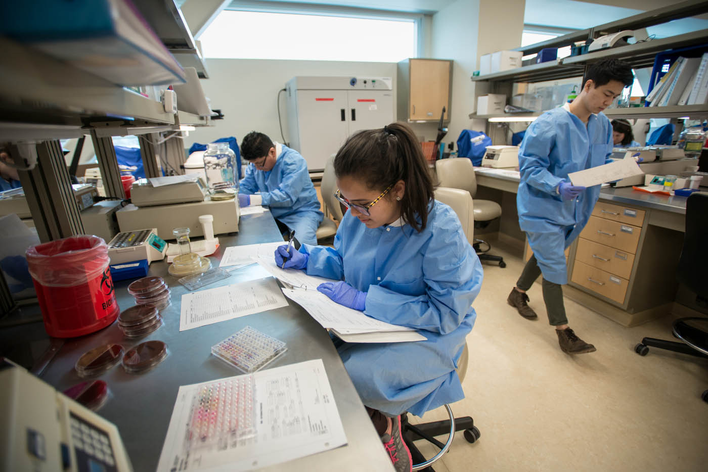 Medical Lab Technology Associate Degree University of Alaska Anchorage