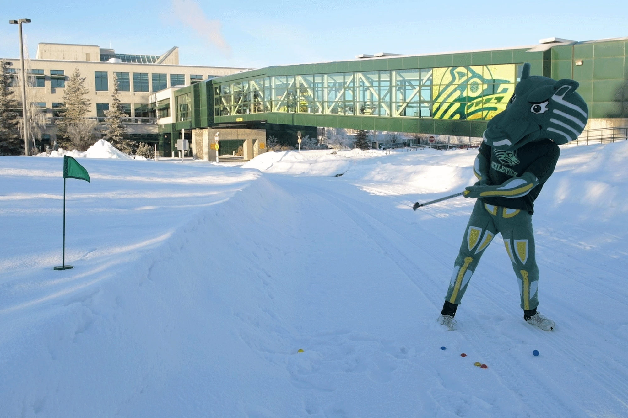 Spirit golfing in the snow