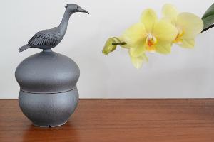 Bird pot and orchid