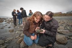 KPC Homer-1218 KPC Homer-1218