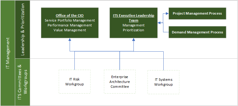 IT Management Structure IT Management Structure