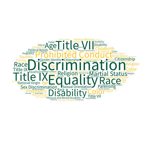 Discrimination, Equlity, Color, Age, Political Affiliation, Political Belief, Disability, Genetic Information, Race, Title IX, Title VII, Religion, Martial Status, Parenting, Pregnancy, Gender Identity, Sexual Orientation, Childbirth, Physical and Mental Disability, National Origin, Veteran Status