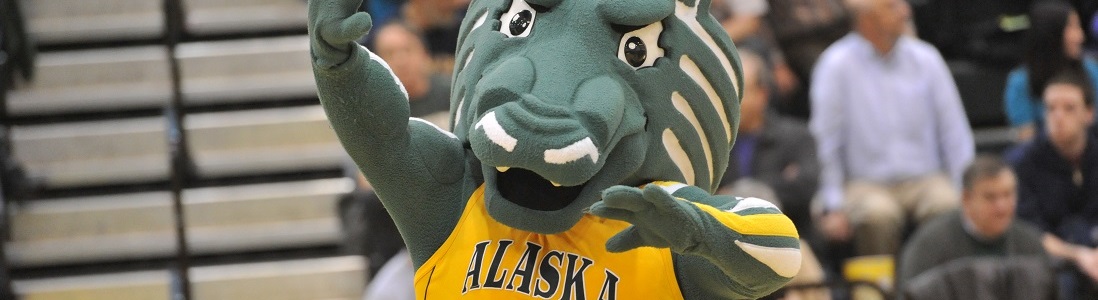 Seawolf Spirit Mascot at a game
