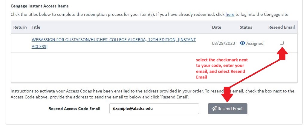 Screenshot displaying an example code and how a student can resend the code to their email