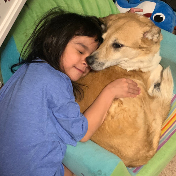 Little kid snuggling with golden lab.