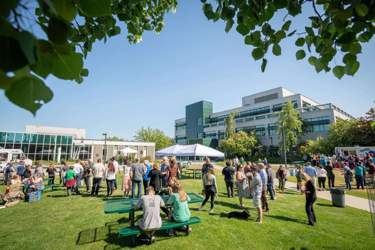 Concert in the Quad event held in the Cuddy Quad. Concert in the Quad event held in the Cuddy Quad