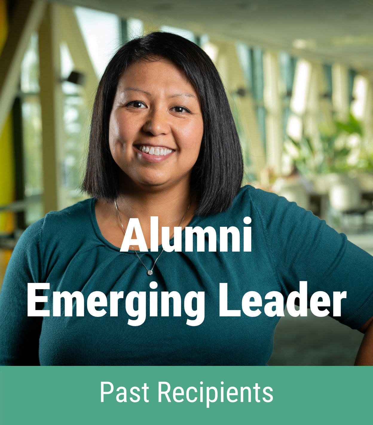 Alumni Emerging Leader icon