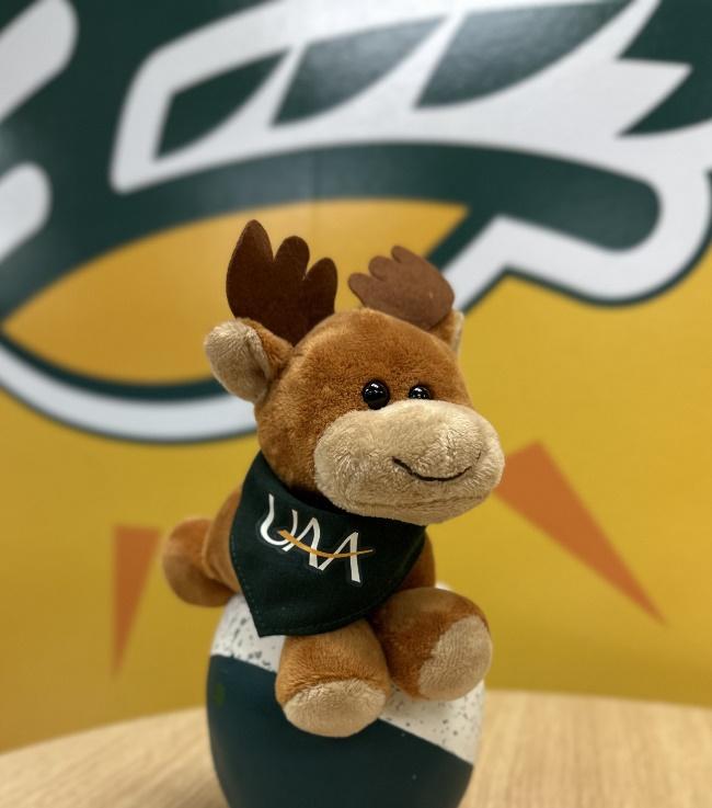 a stuffy reindeer wearing a UAA bib