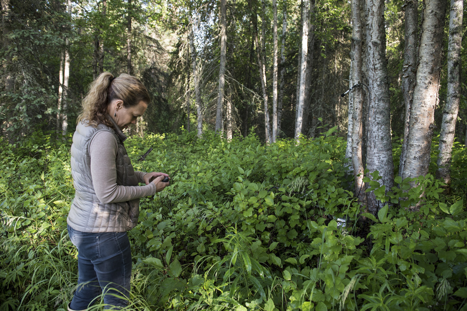 Noting GPS Location of newly-placed bat monitoring equipment