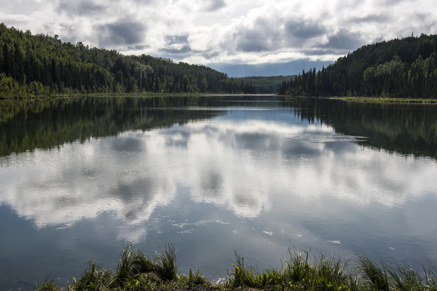 Bat habitat at low altitude lake on JBER