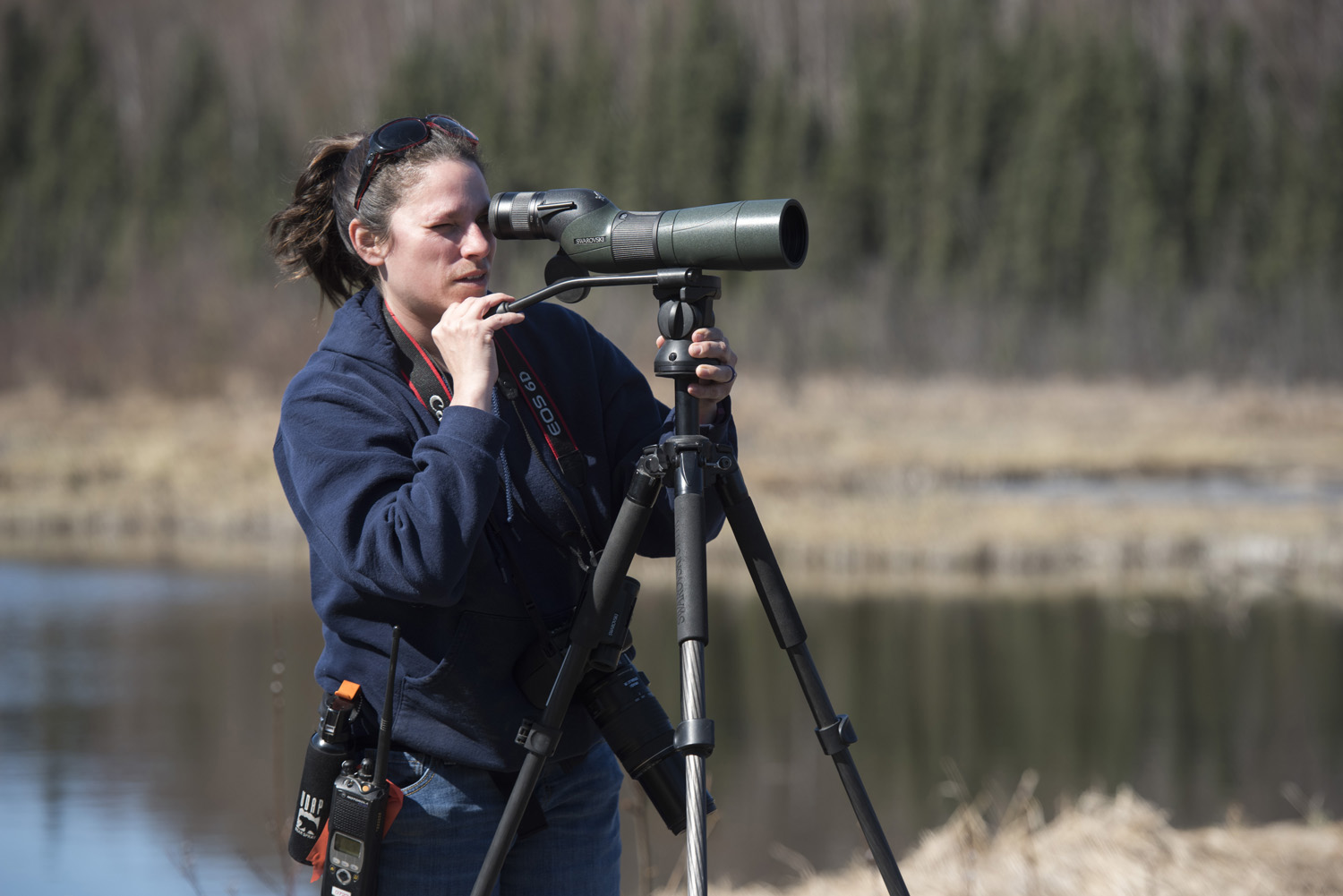 JBER wildlife manager Kristy Craig monitors raptors with assistance from AERC researchers