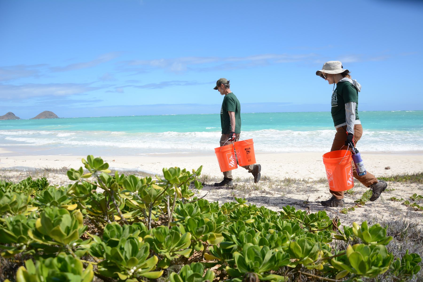 UAA staff removes weeds from the beach