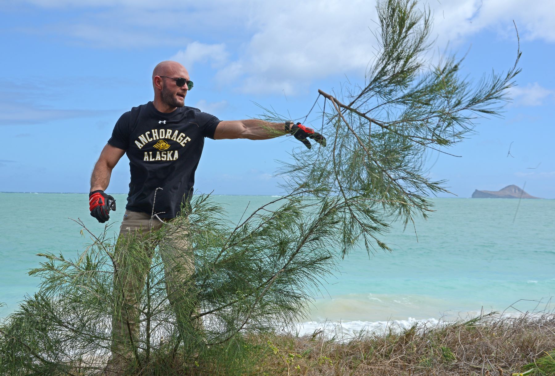 UAA staff remove ironwood saplings from the beach