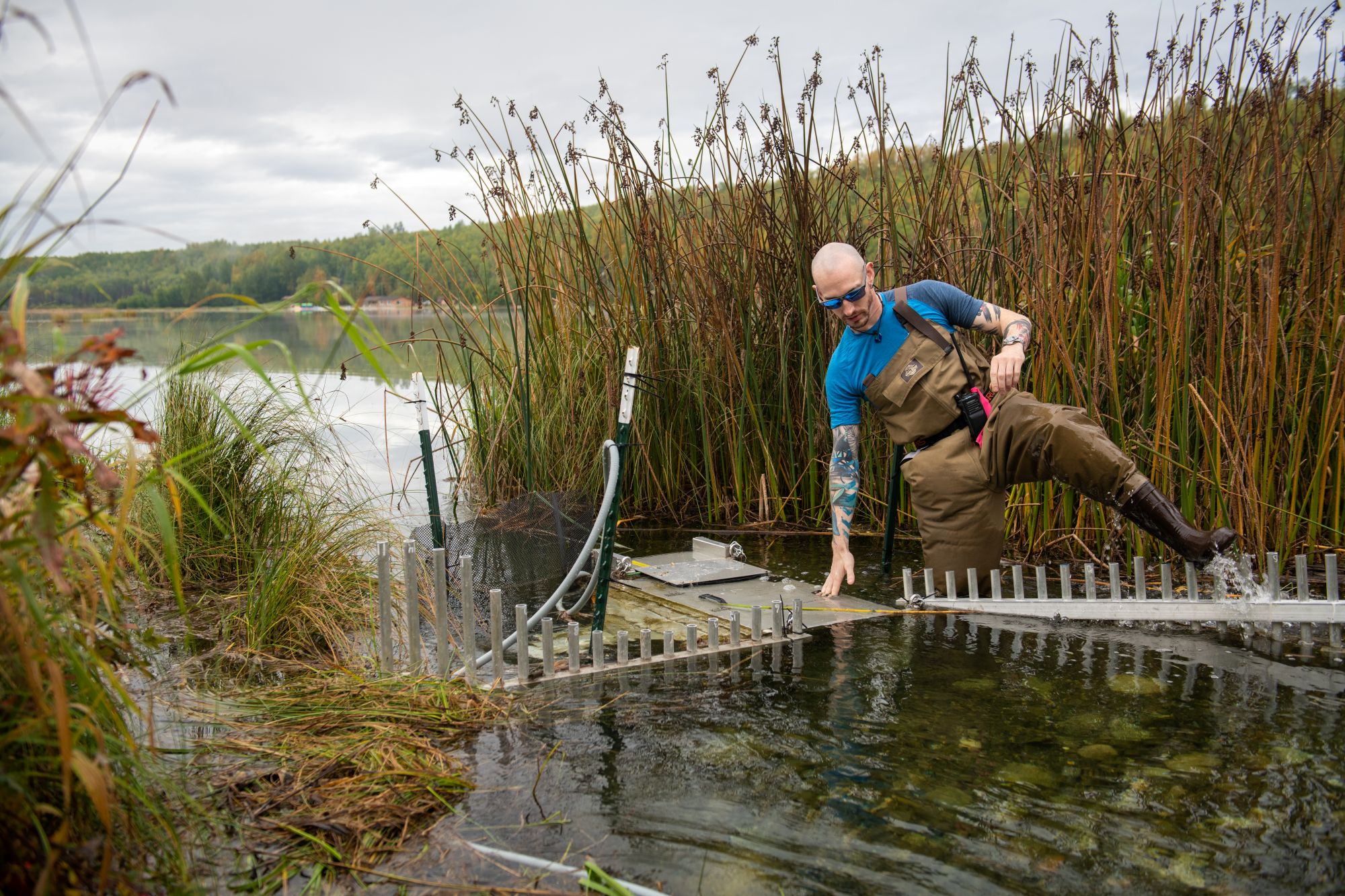 A man stands by a fish monitoring camera system in a wetland