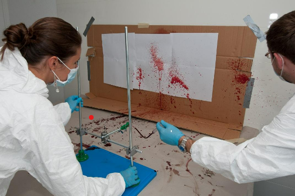 Forensic Anthropology Photo 1