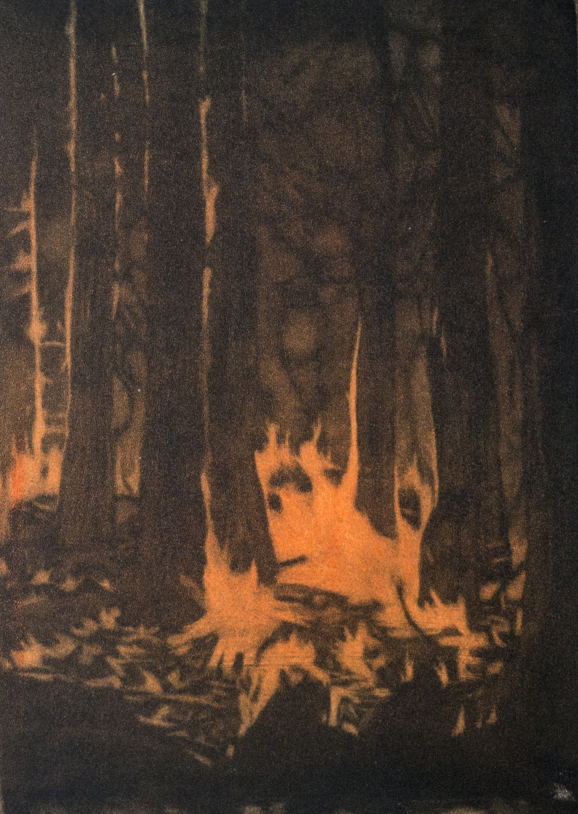 Kimura Gallery Exhibition