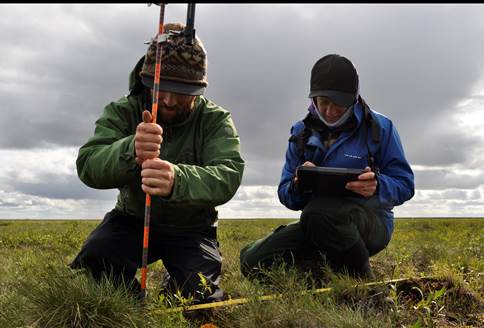 Ecologists working on Arctic Coastal Plain
