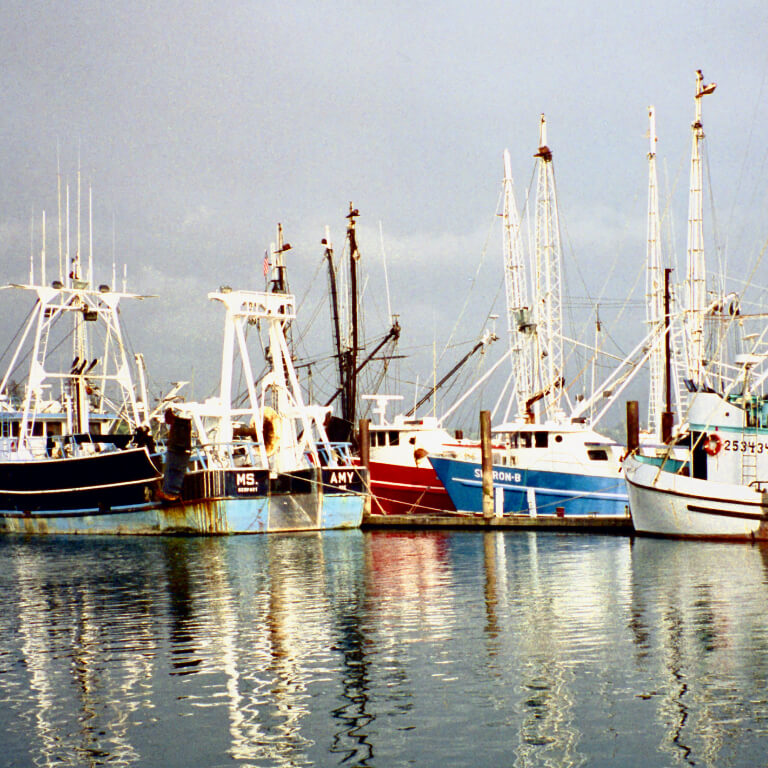 fishing boats