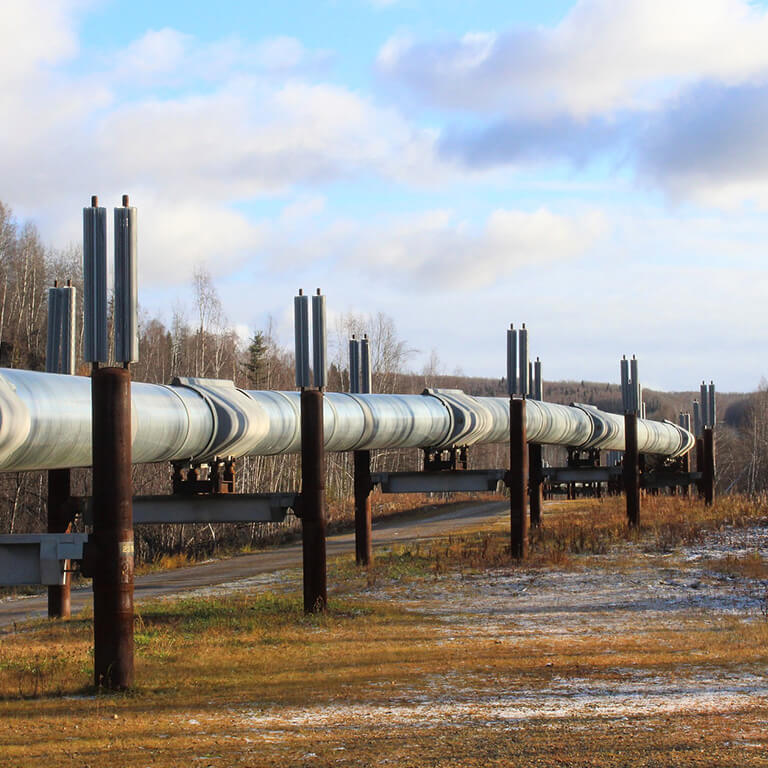section of the Alaska pipeline