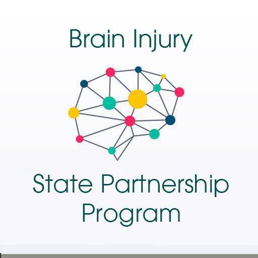 Brain Injury State Partnership Program