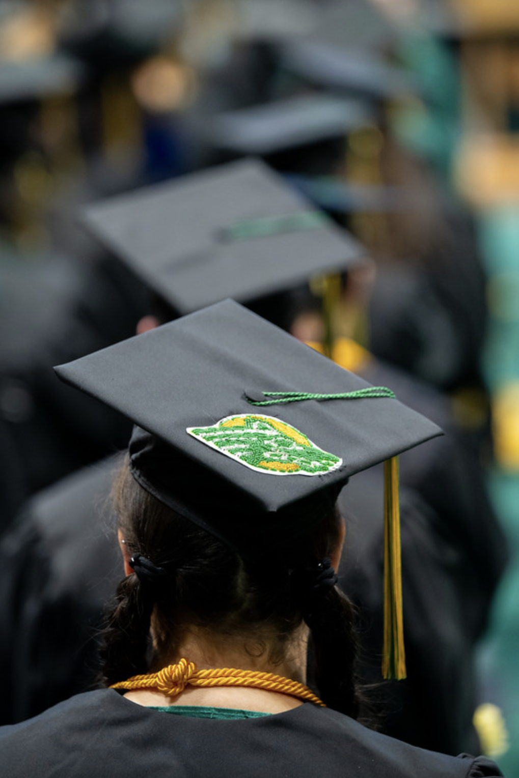 student wearing cap with seawolf decal at graduation ceremony