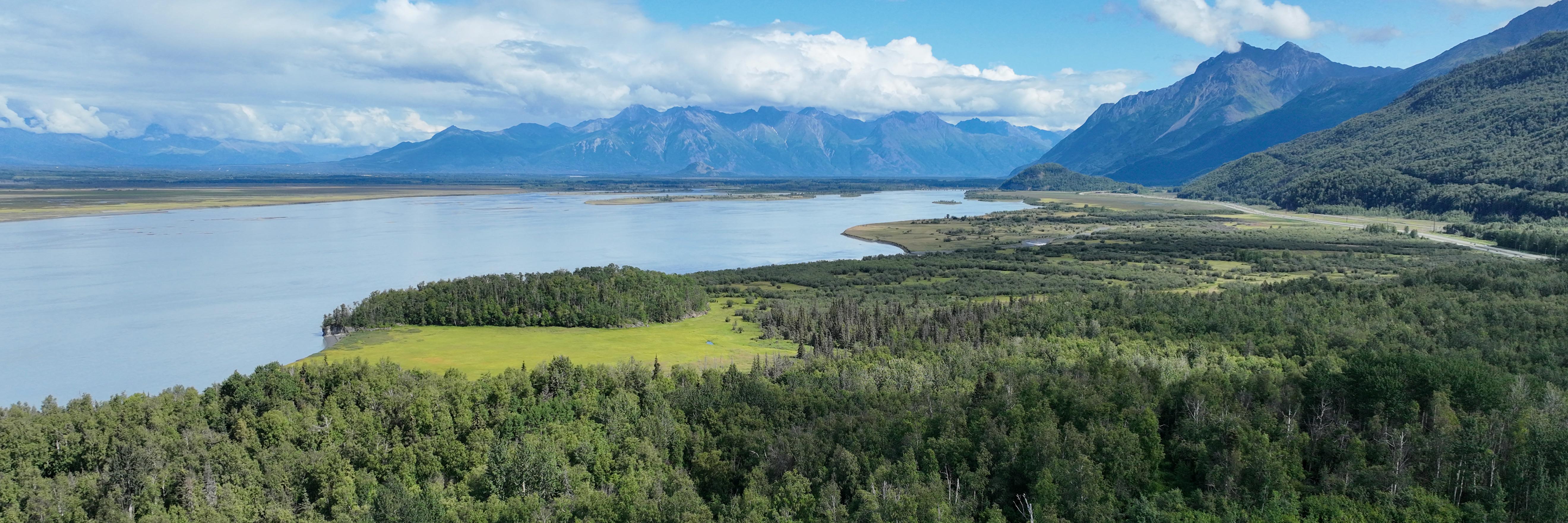 green forest in front of ocean and mountains and sky