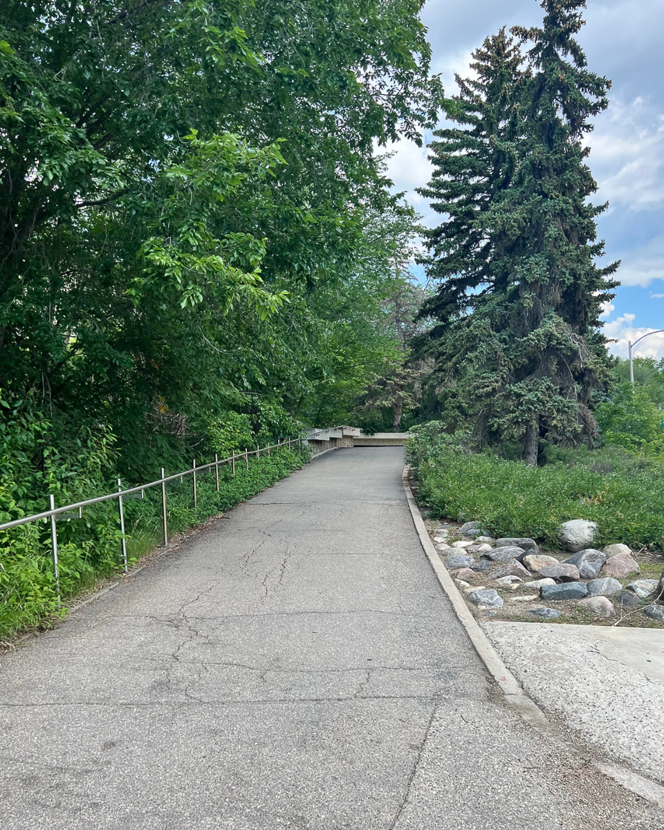 sidewalk with metal fence surrounded by trees and grass