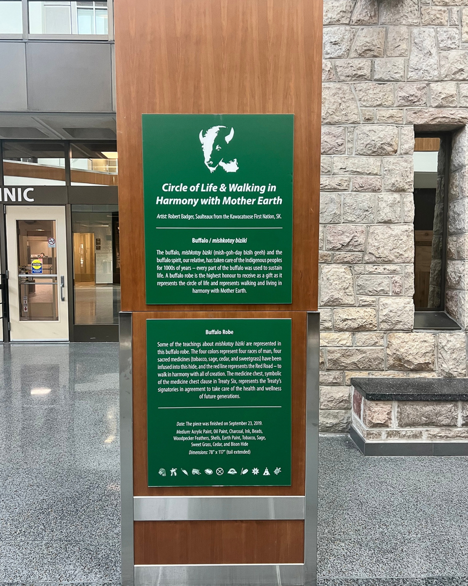 green sign on post explaining the signifigance of the buffalo in Indiginous culture