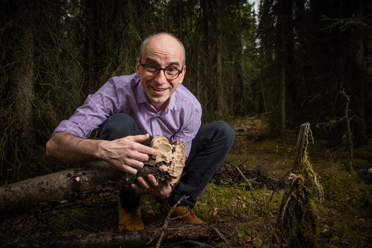 A man squatting in a forest pointing at fungi