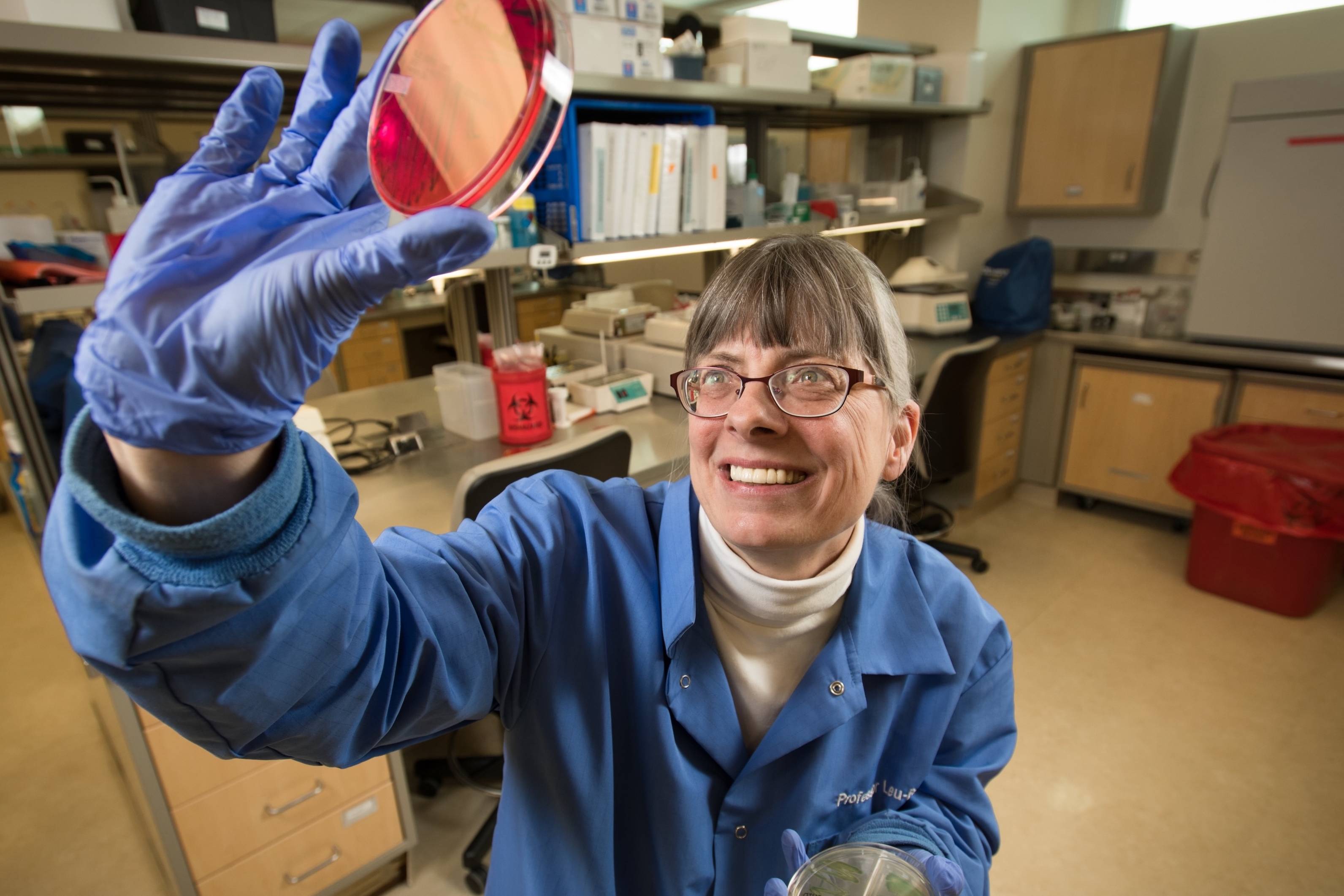 Medical Laboratory Science program director Grace Leu-Burke inspects a petri dish. 