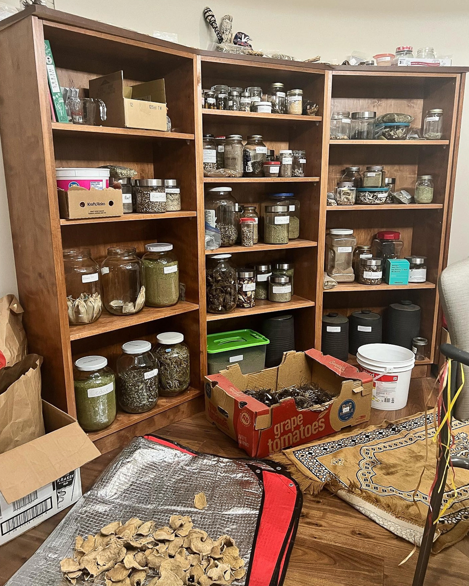 jars of natural medicines on sheleves and dry mushrooms on blanket on ground