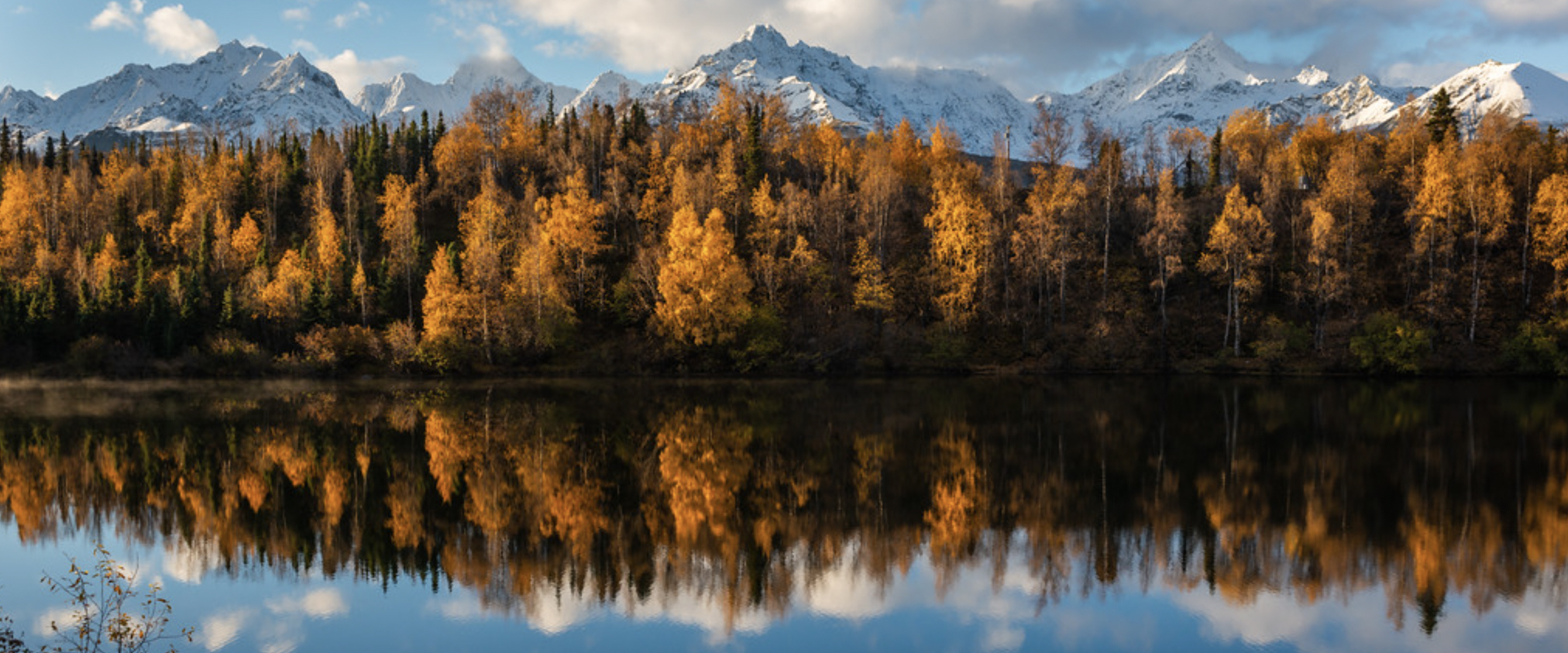 trees with orange leaves infront of mountain and blue sky