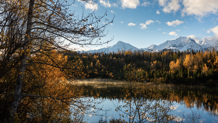 trees with yellow leaves in front of glacier and lake