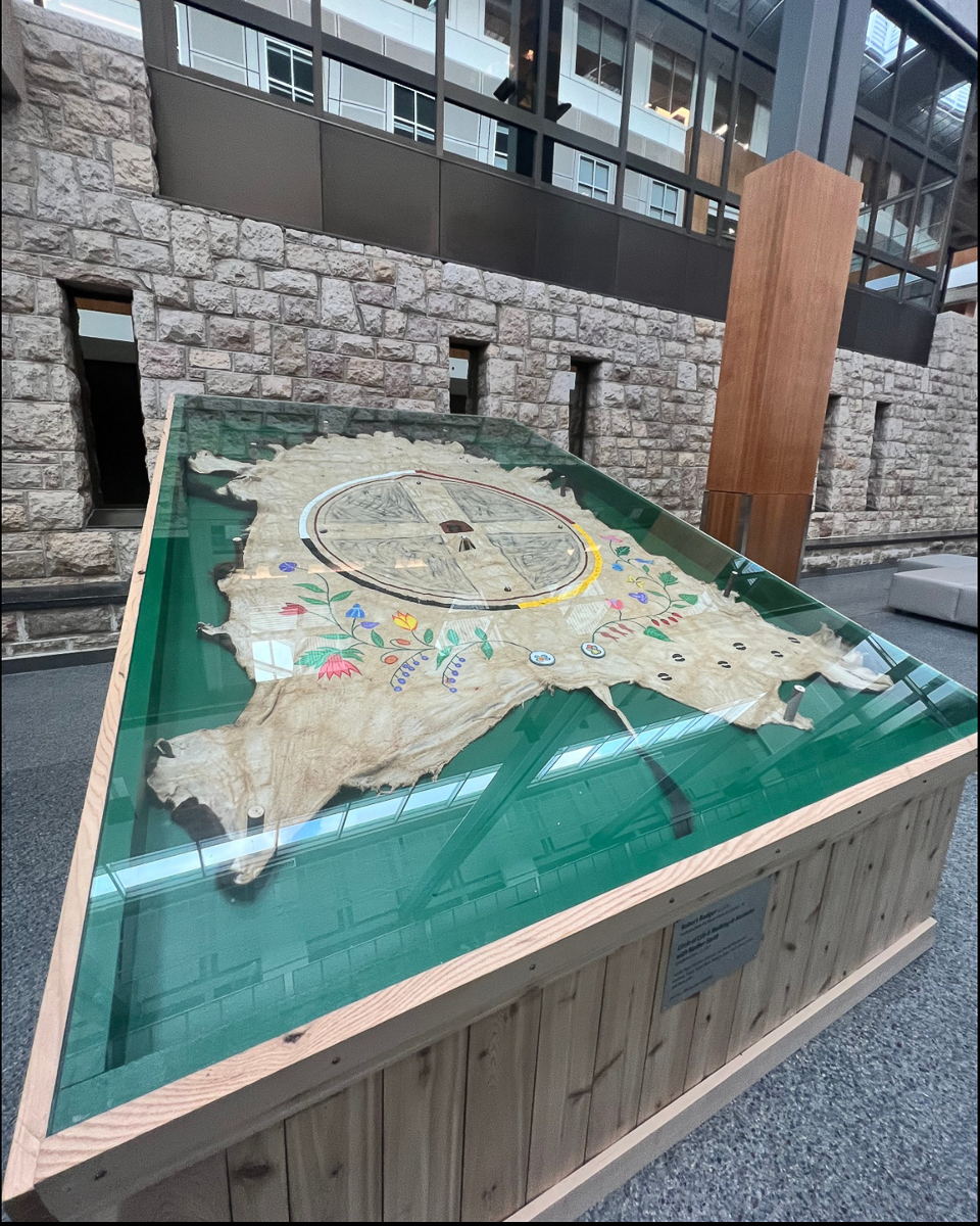 painted buffalo hide in display case