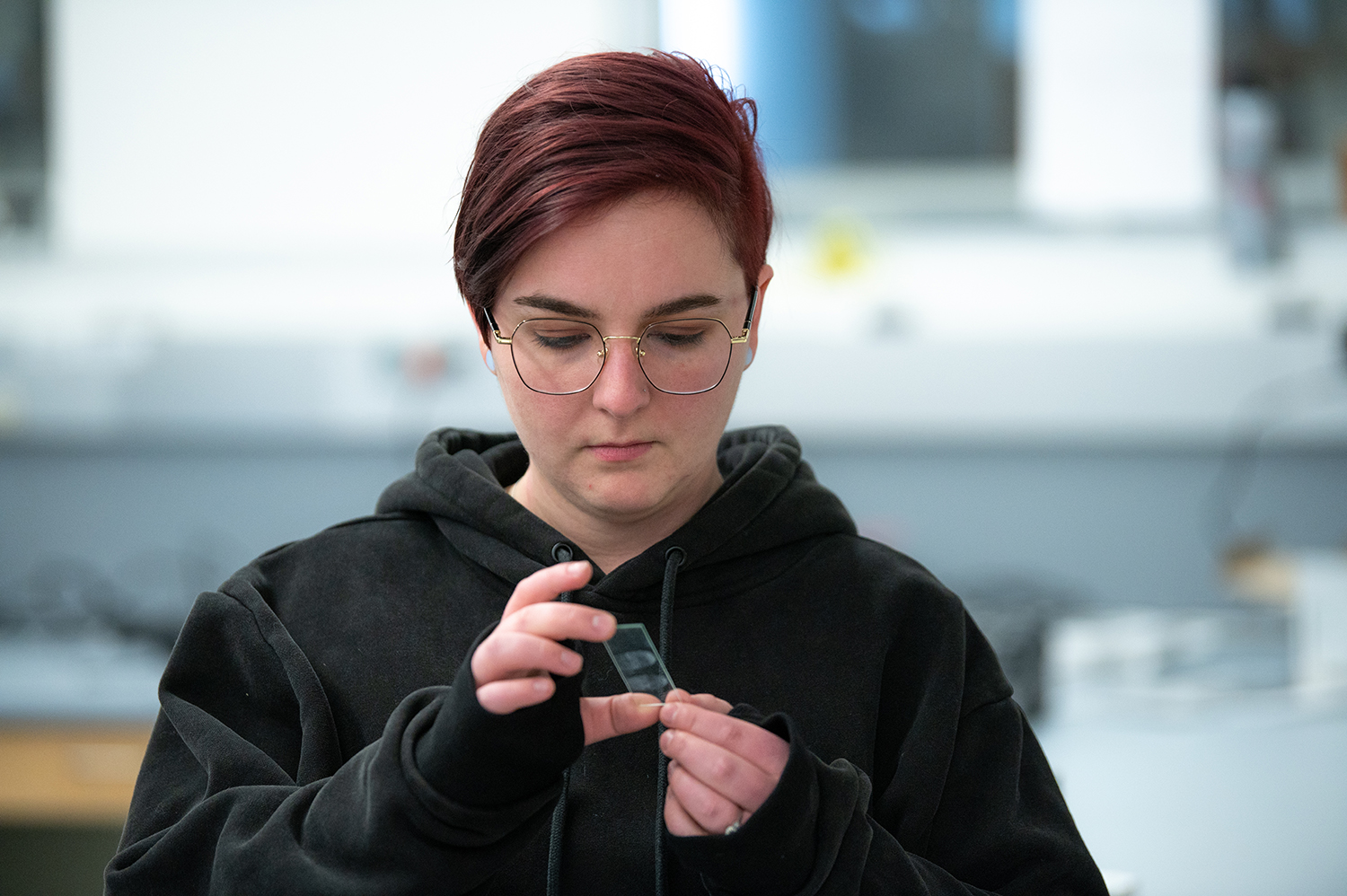 Student examines fingerprint slide