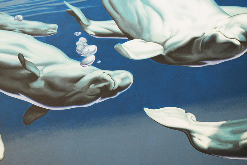 Mural painting of a group of Beluga whales