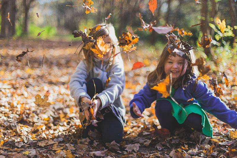 Two young girls playing in fallen autumn leaves