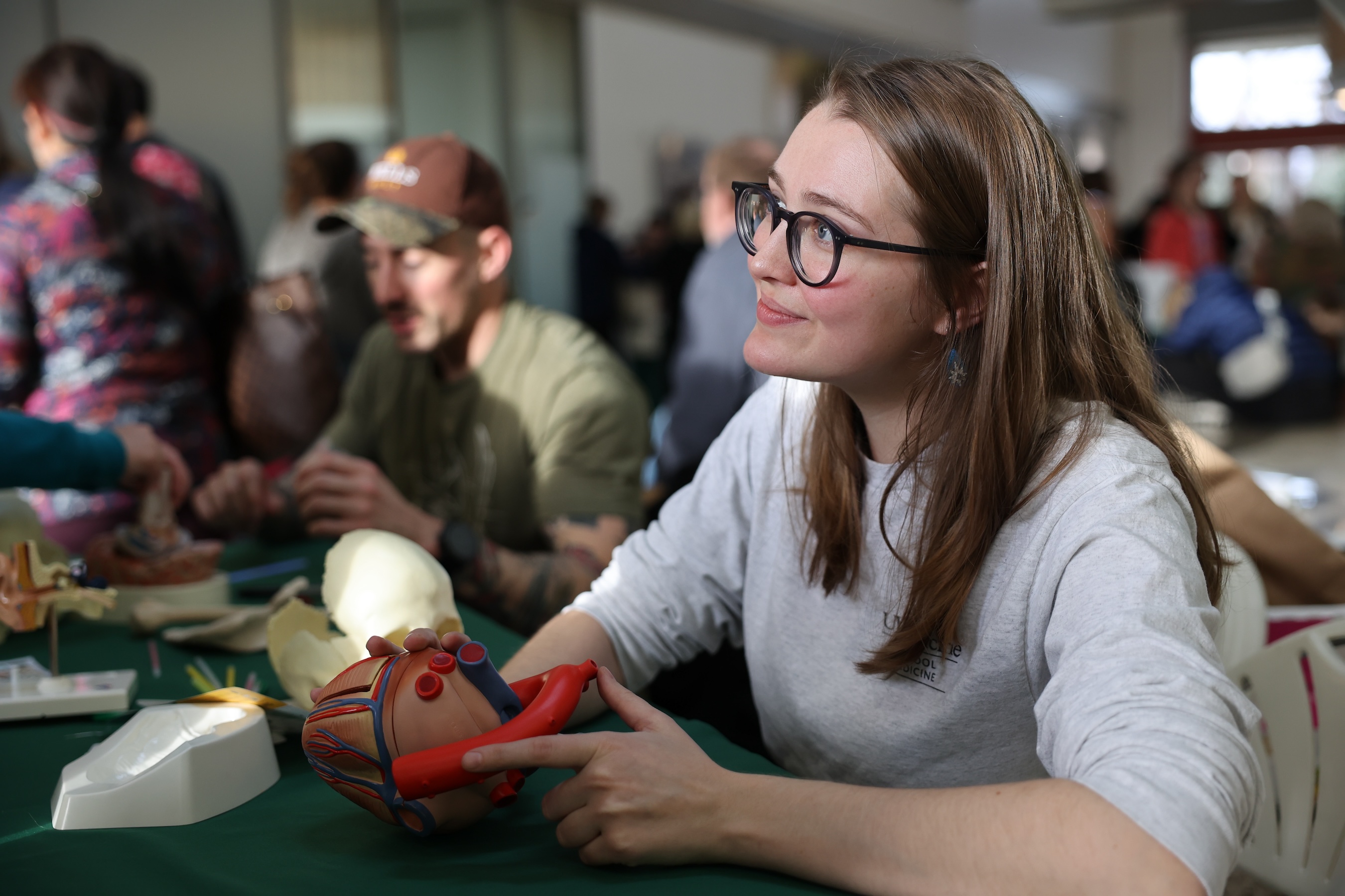 A student teaching the anatomy of the human heart.