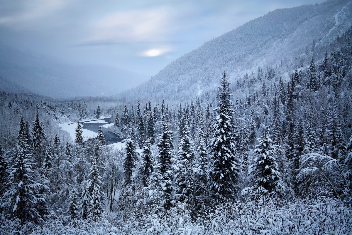 alaska winter river scene
