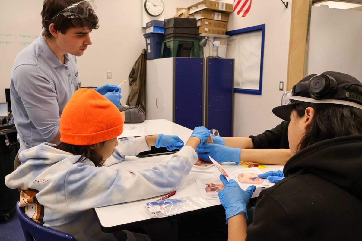 students dissecting pig hearts in Nulato