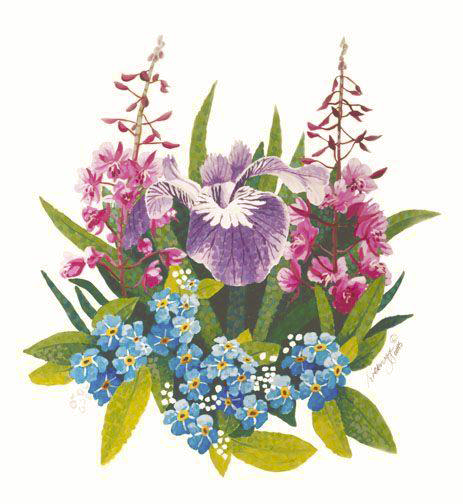 Illustration of alaska wildflower arrangement