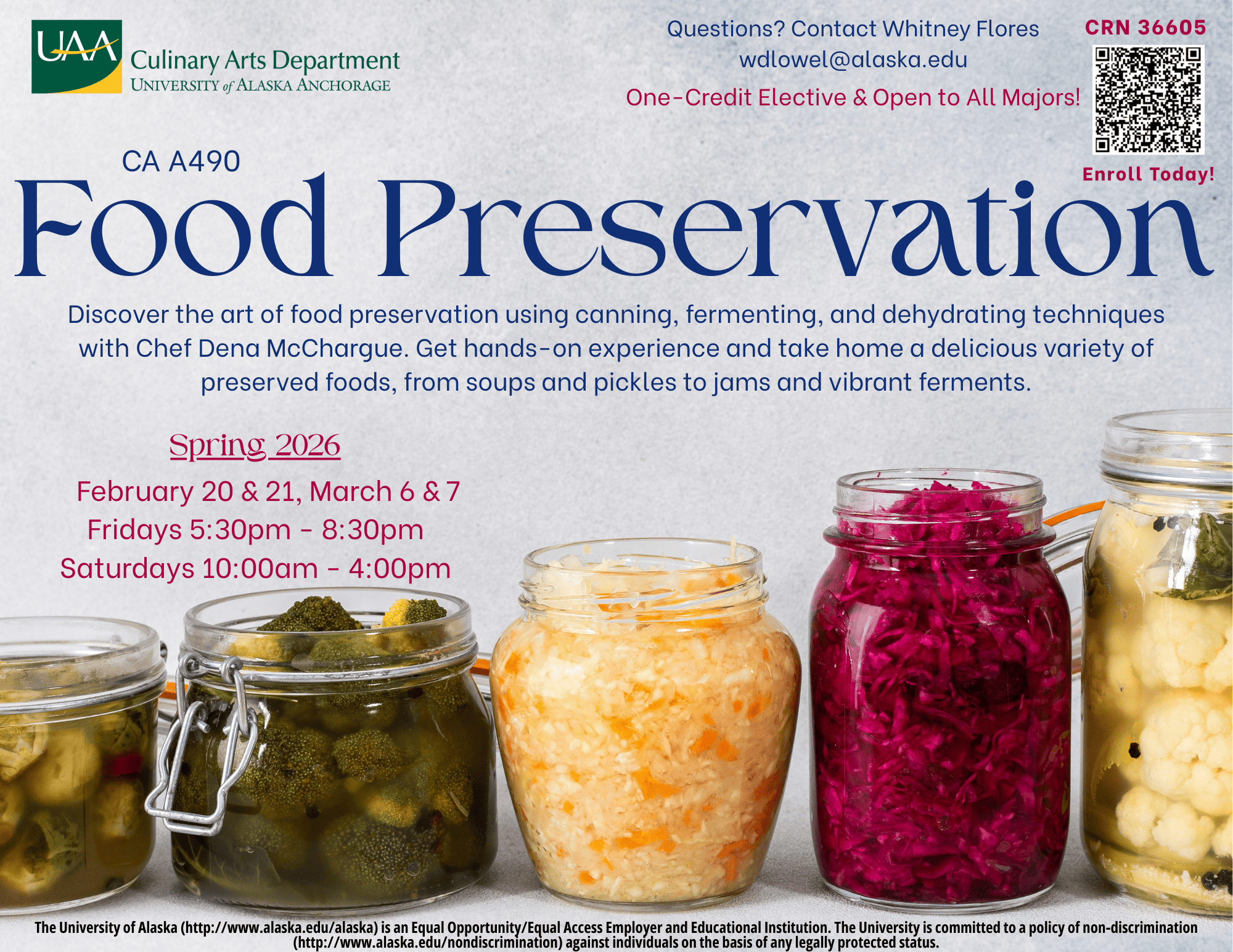 Food Preservation Flyer