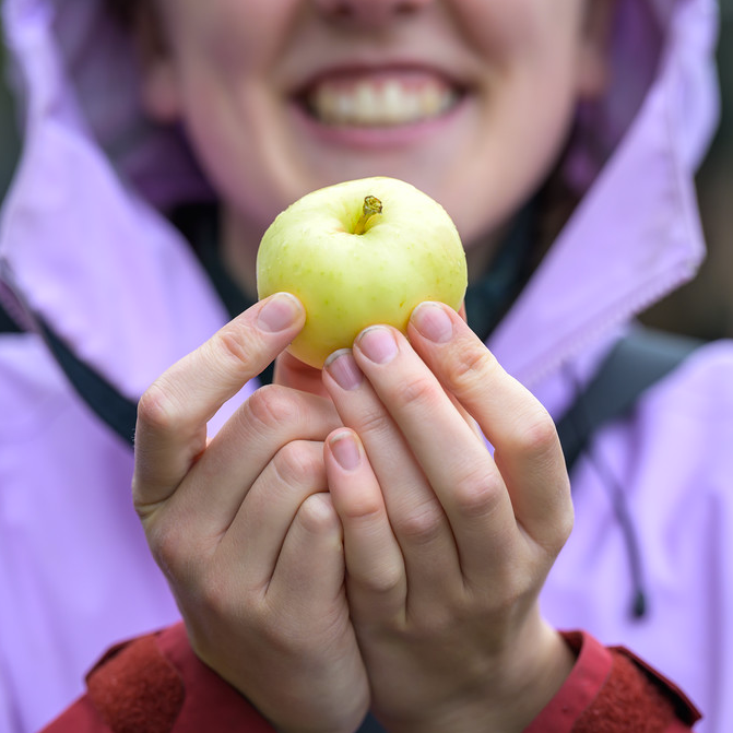 Handing holding an apple
