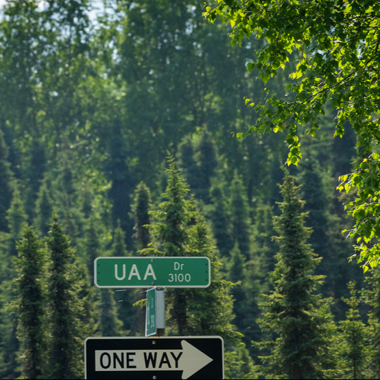 uaa sign
