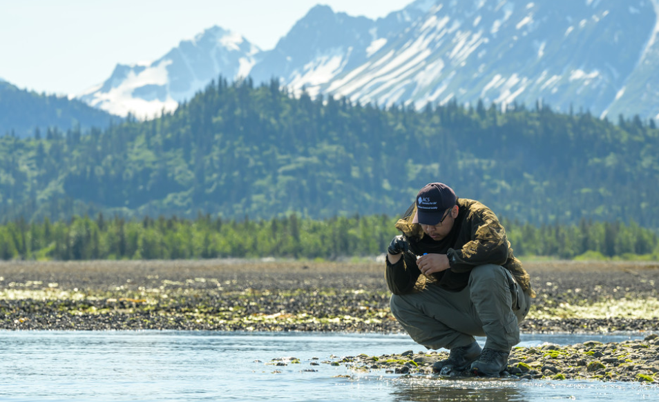 UAA researcher by water