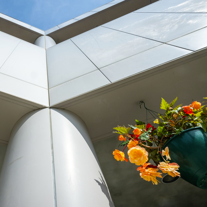 flower and building
