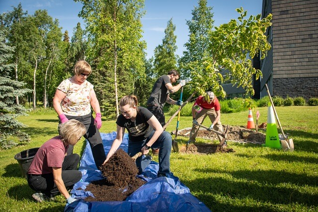 A group of volunteers plants trees in a sunny field.
