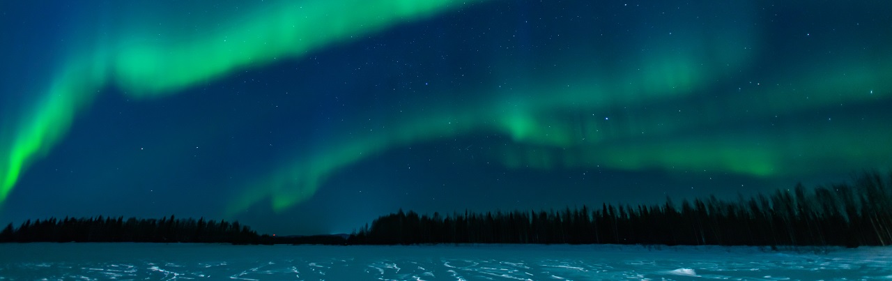 Northern Lights over a snowy field